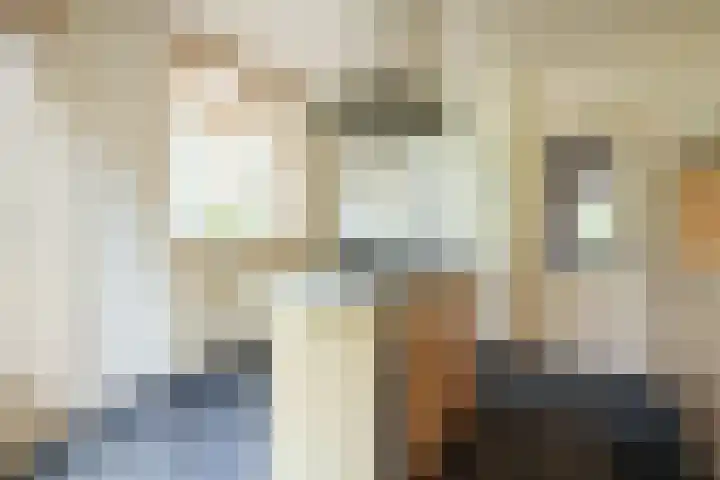 Roemer Visscherlaan 65 Zeist thumbnail 12