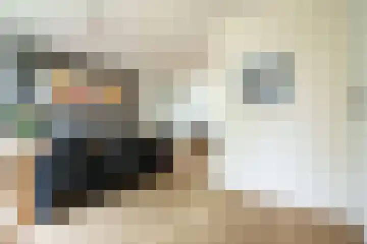 Roemer Visscherlaan 65 Zeist thumbnail 14