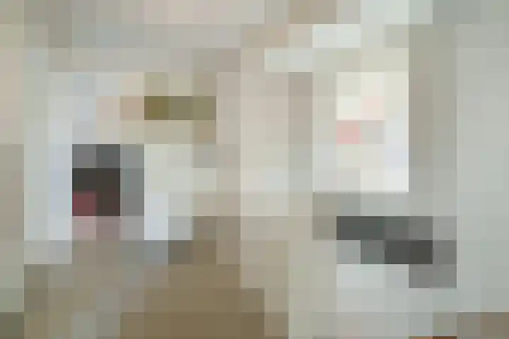 Roemer Visscherlaan 65 Zeist thumbnail 16