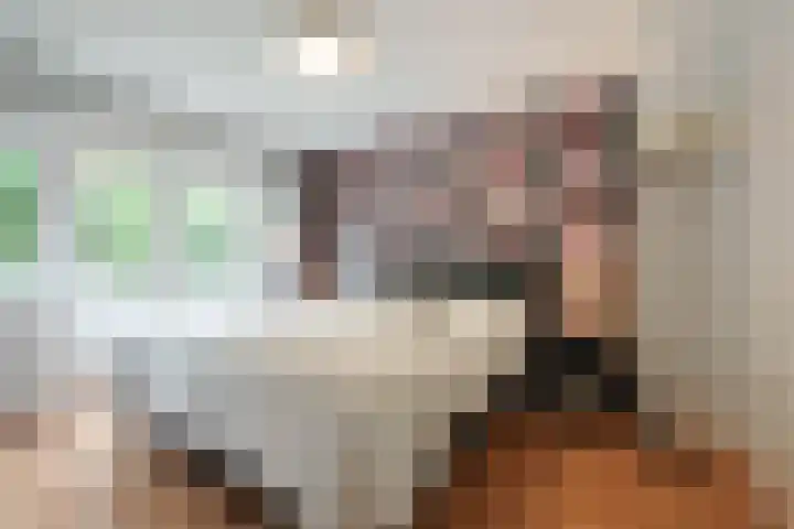 Roemer Visscherlaan 65 Zeist thumbnail 17
