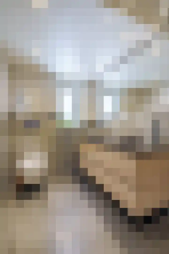 Roemer Visscherlaan 65 Zeist thumbnail 20
