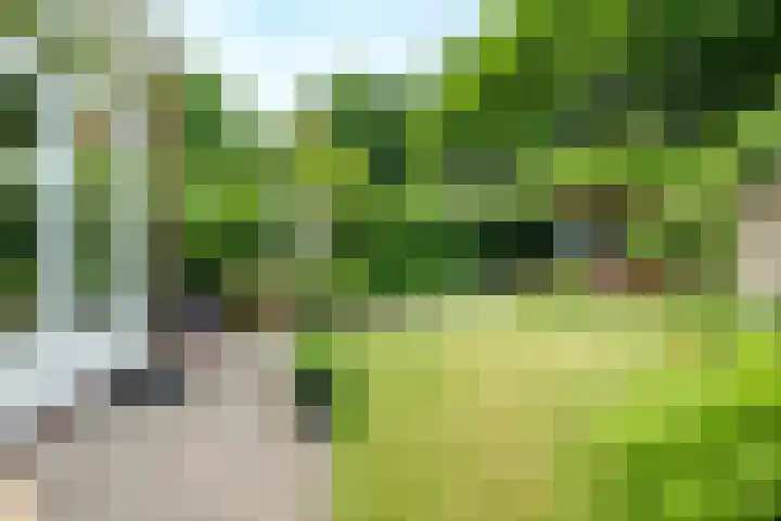 Roemer Visscherlaan 65 Zeist thumbnail 25