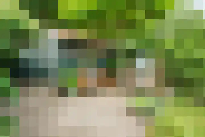 Roemer Visscherlaan 65 Zeist thumbnail 27