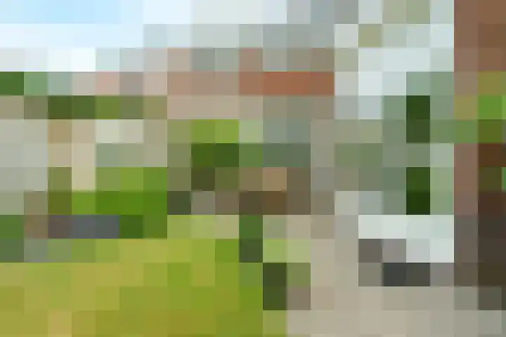 Roemer Visscherlaan 65 Zeist thumbnail 28