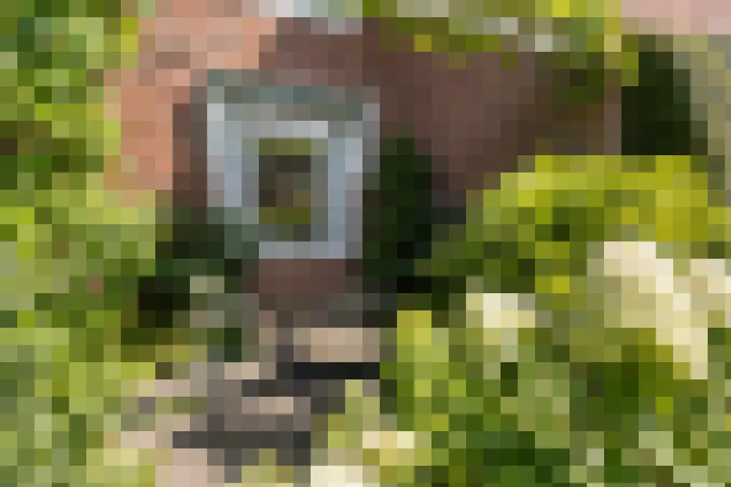 Roemer Visscherlaan 68 A Zeist thumbnail 10