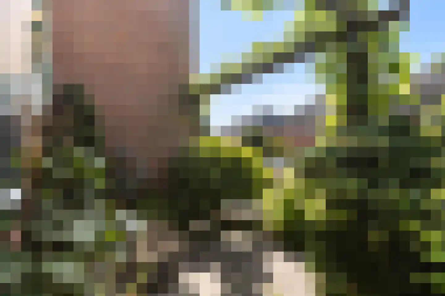 Roemer Visscherlaan 68 A Zeist thumbnail 11