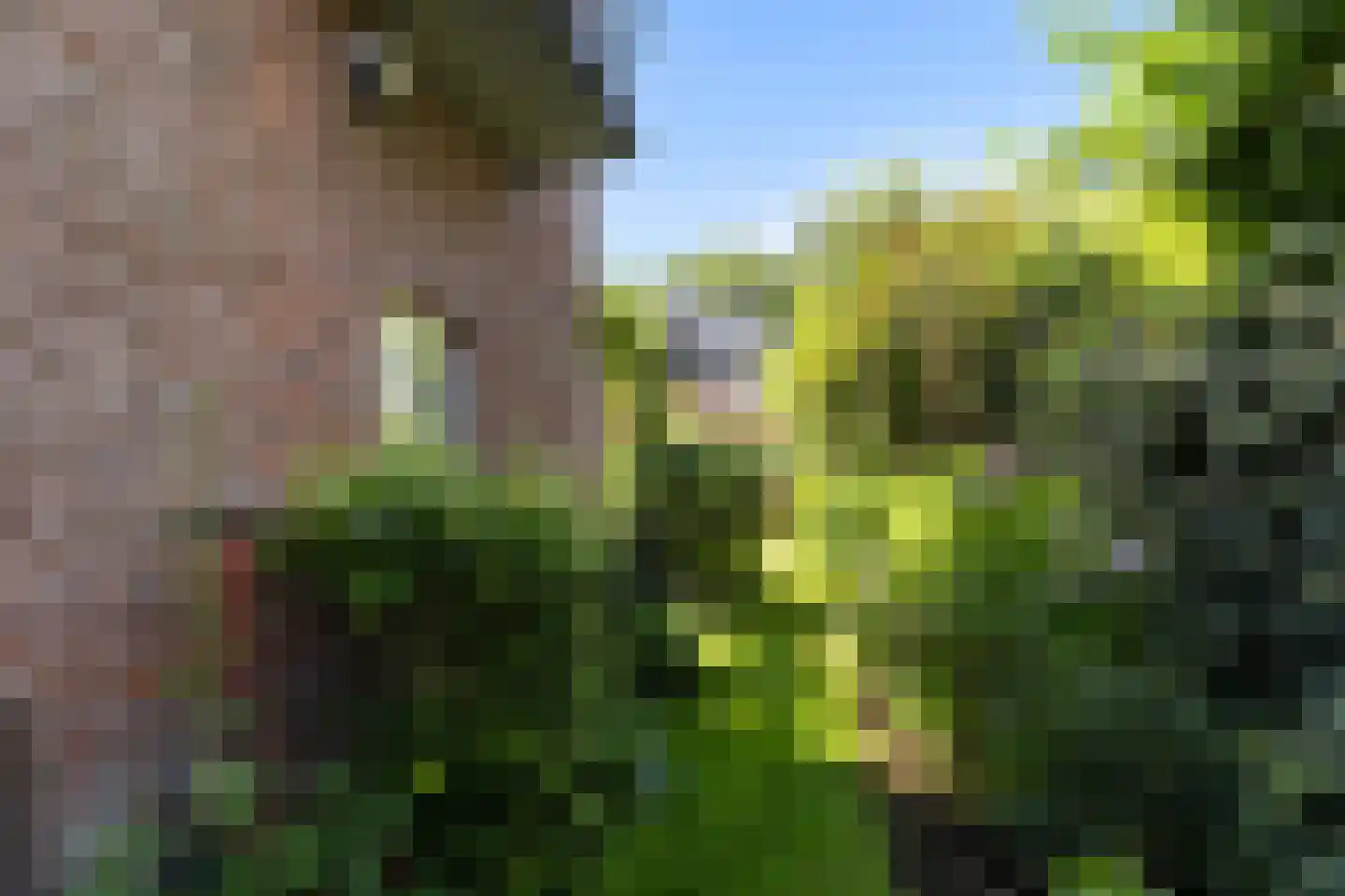 Roemer Visscherlaan 68 A Zeist thumbnail 12