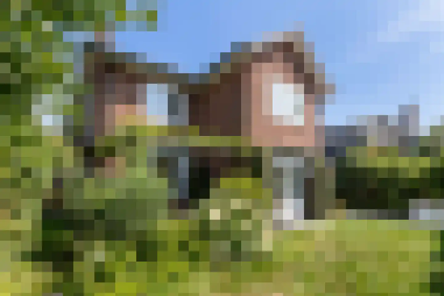 Roemer Visscherlaan 68 A Zeist thumbnail 13