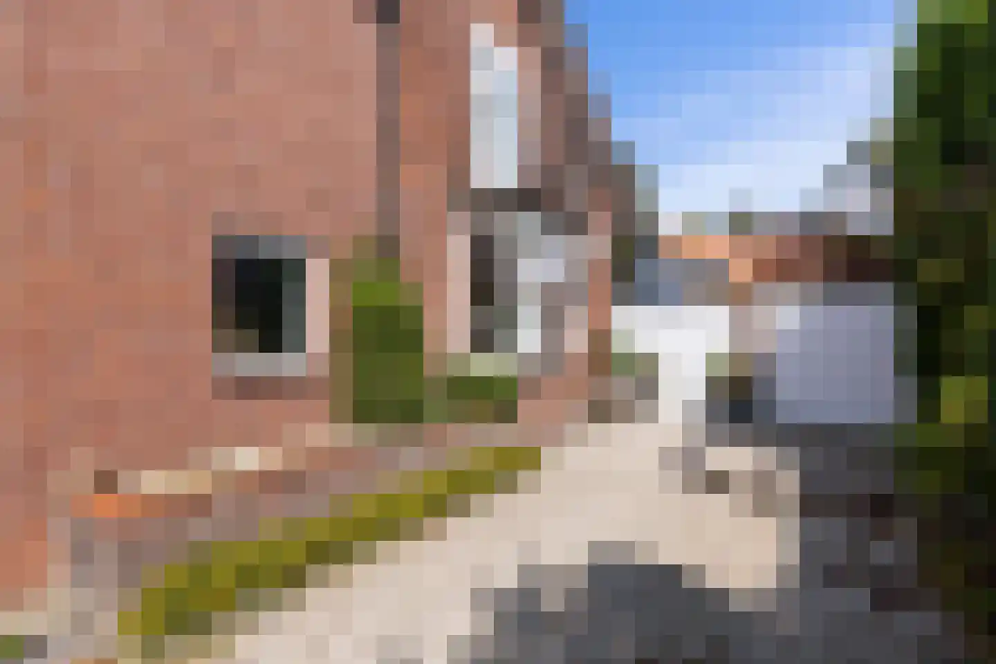 Roemer Visscherlaan 68 A Zeist thumbnail 14