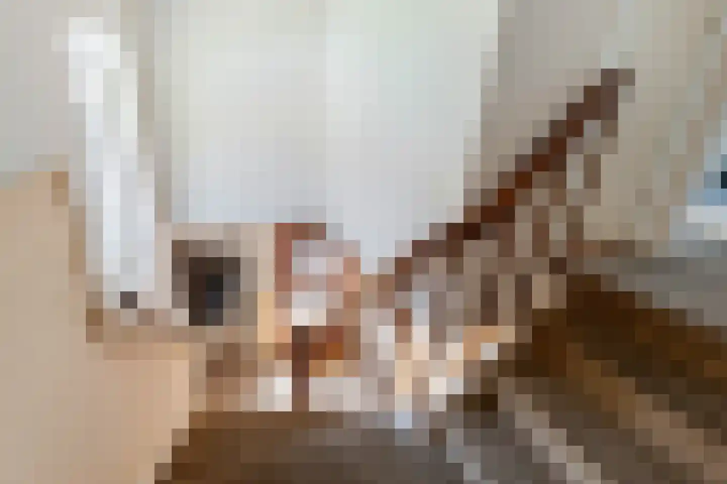 Roemer Visscherlaan 68 A Zeist thumbnail 33