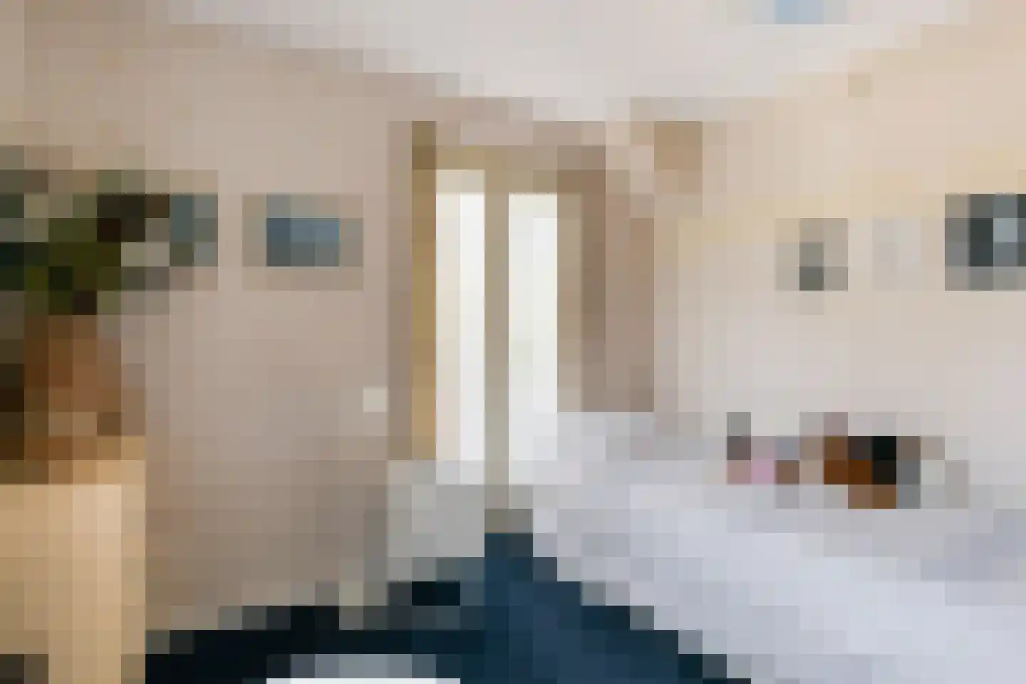 Roemer Visscherlaan 68 A Zeist thumbnail 41
