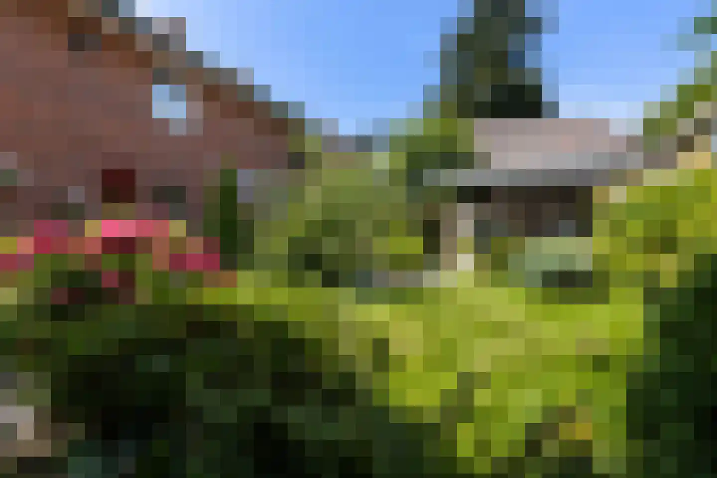 Roemer Visscherlaan 68 A Zeist thumbnail 50