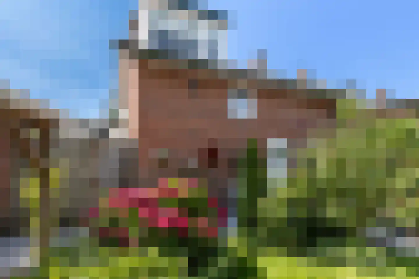 Roemer Visscherlaan 68 A Zeist thumbnail 51