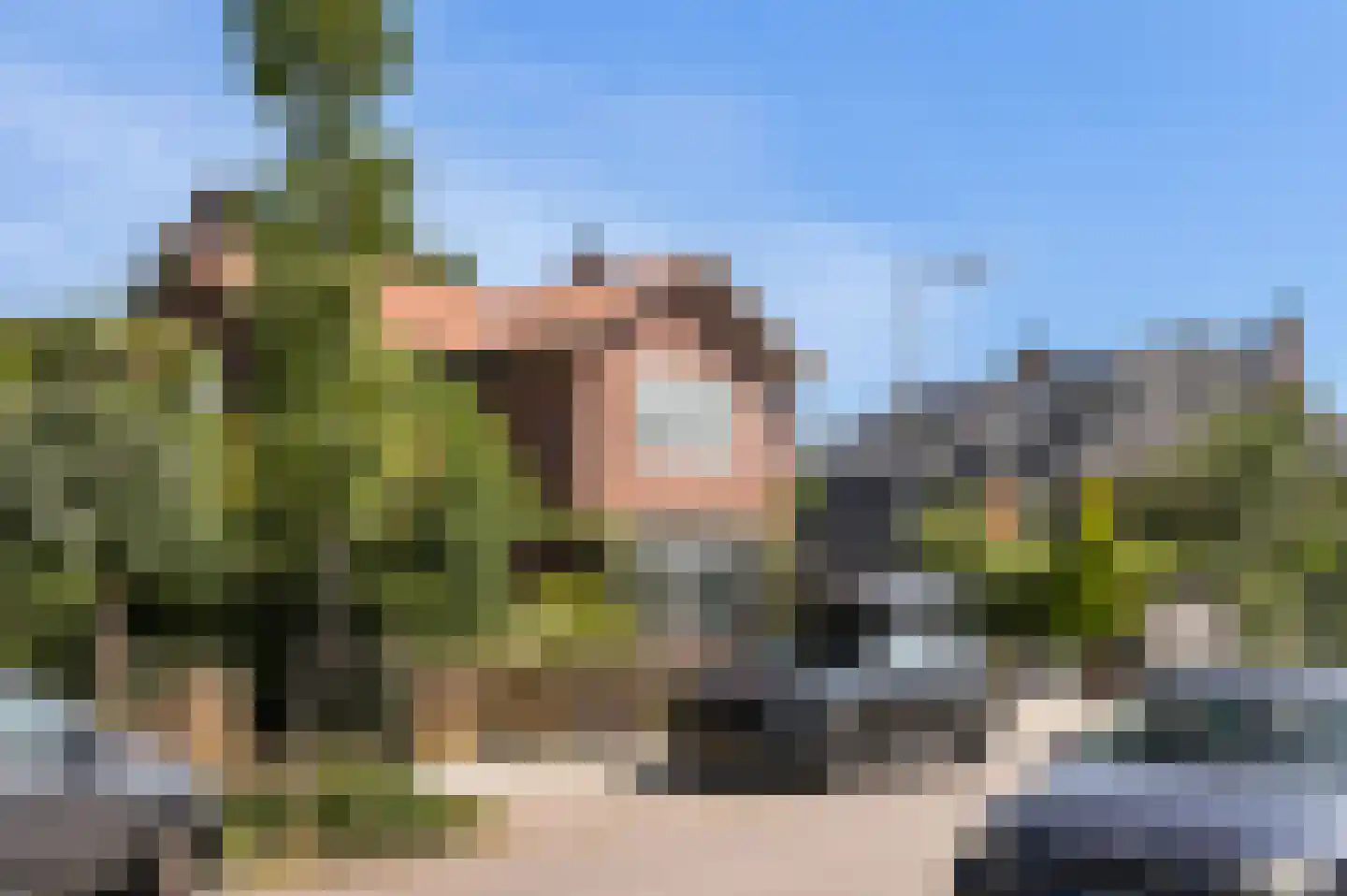 Roemer Visscherlaan 68 A Zeist thumbnail 6