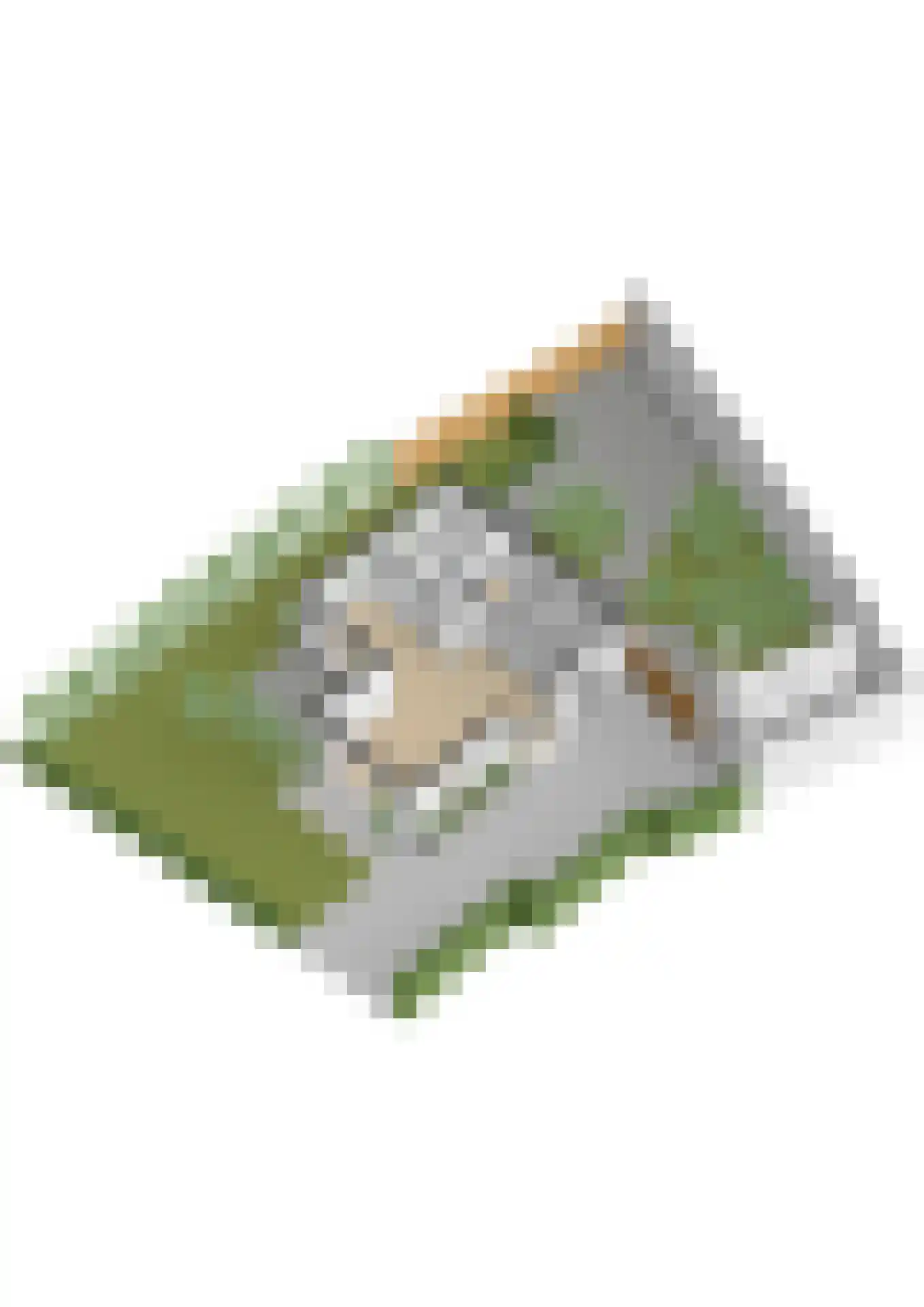 Roemer Visscherlaan 68 A Zeist thumbnail 60