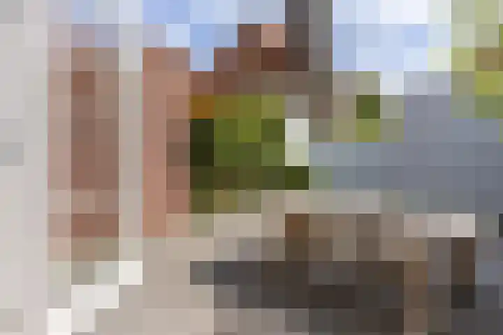 Roemer Visscherlaan 7 A 3 Bussum thumbnail 10