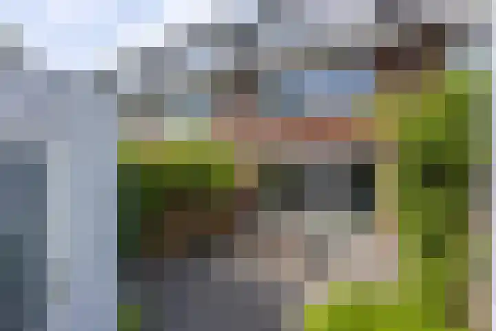 Roemer Visscherlaan 7 A 3 Bussum thumbnail 32