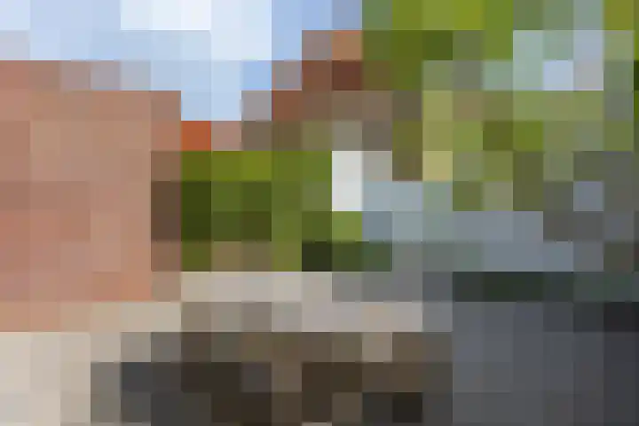 Roemer Visscherlaan 7 A 3 Bussum thumbnail 33