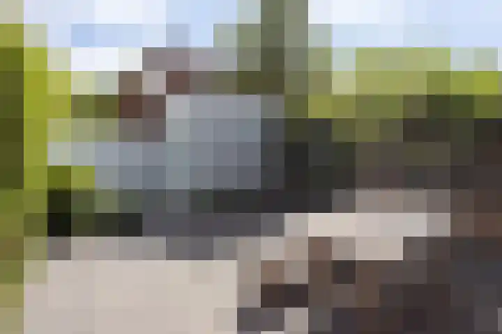 Roemer Visscherlaan 7 A 3 Bussum thumbnail 34