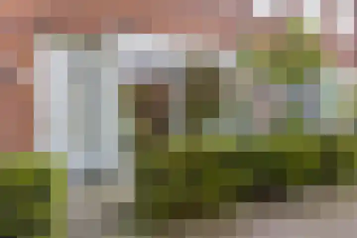 Roemer Visscherlaan 7 A 3 Bussum thumbnail 5