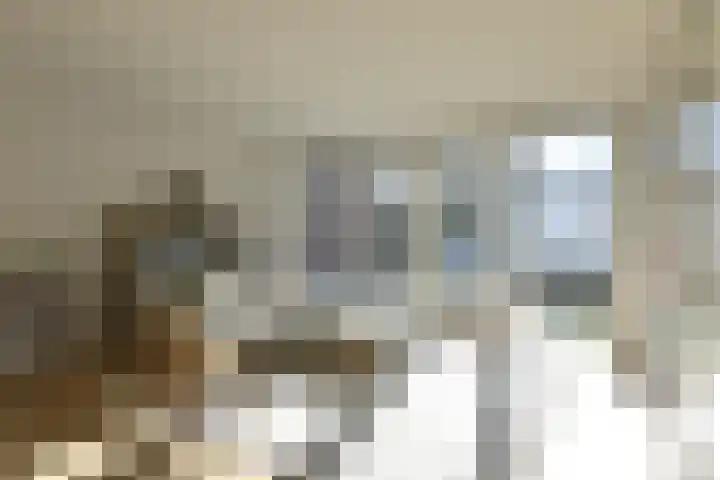 Roemer Visscherlaan 7 A 3 Bussum thumbnail 6