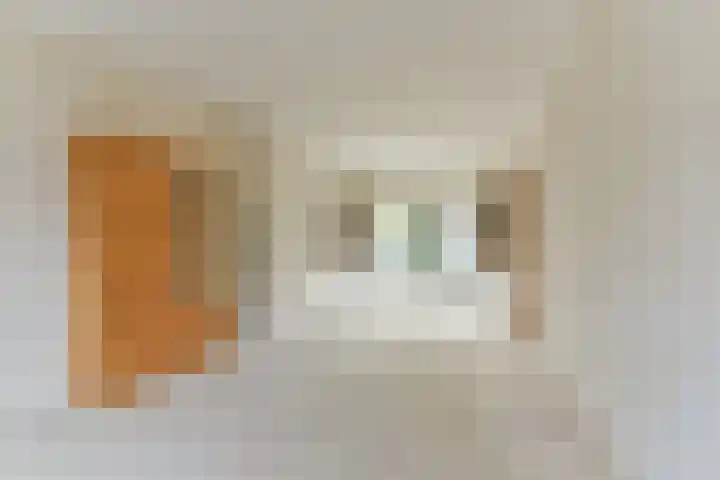 Roemer Visscherlaan 82 Zeist thumbnail 11