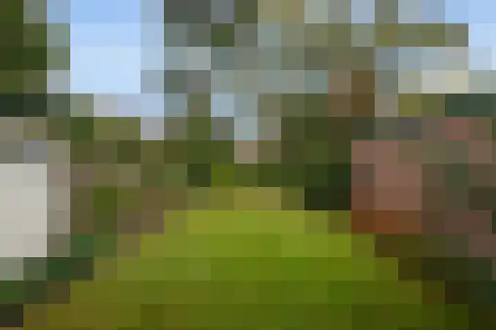Roemer Visscherlaan 82 Zeist thumbnail 17