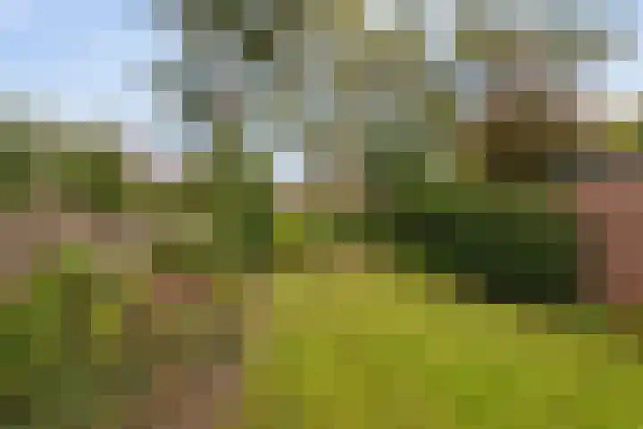 Roemer Visscherlaan 82 Zeist thumbnail 18