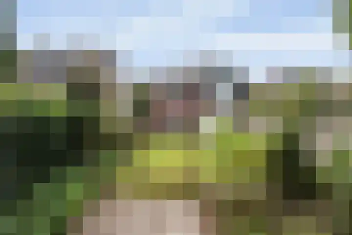 Roemer Visscherlaan 82 Zeist thumbnail 19