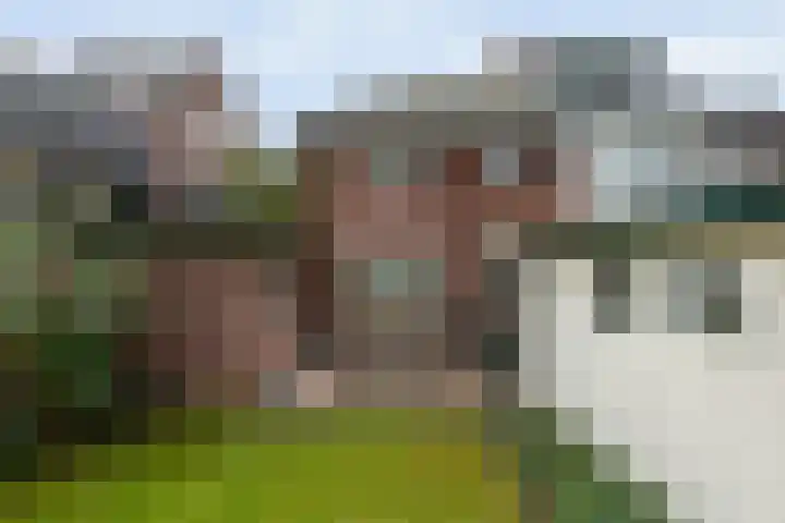 Roemer Visscherlaan 82 Zeist thumbnail 21