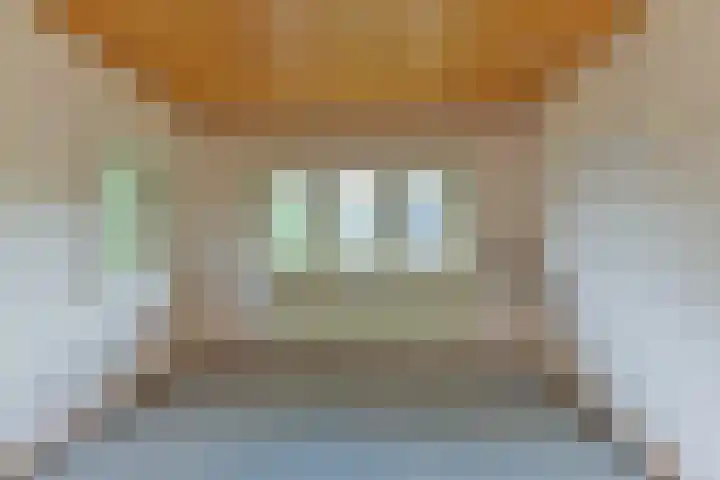 Roemer Visscherlaan 82 Zeist thumbnail 25