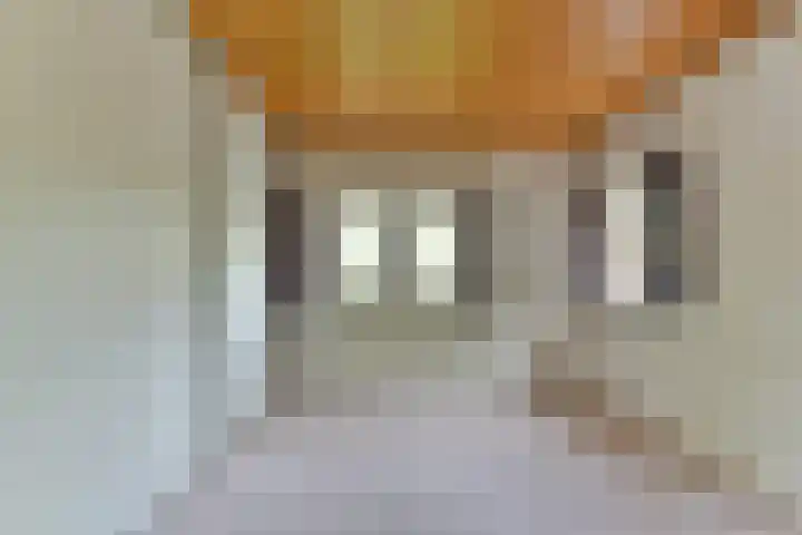 Roemer Visscherlaan 82 Zeist thumbnail 29