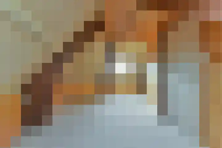 Roemer Visscherlaan 82 Zeist thumbnail 35