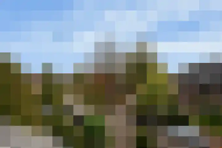 Roemer Visscherlaan 82 Zeist thumbnail 37