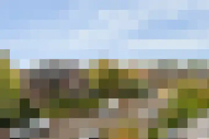 Roemer Visscherlaan 82 Zeist thumbnail 38