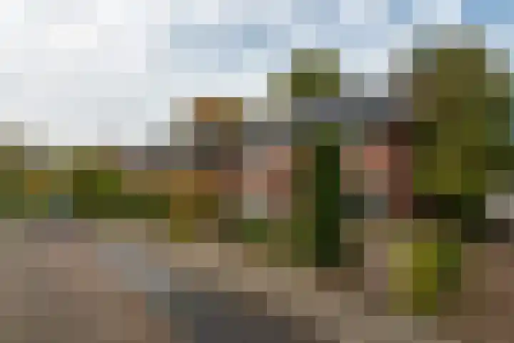Roemer Visscherlaan 82 Zeist thumbnail 4