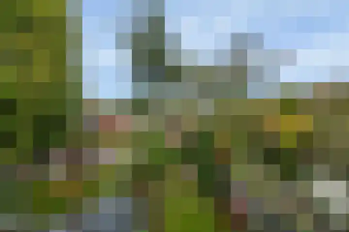 Roemer Visscherlaan 82 Zeist thumbnail 40