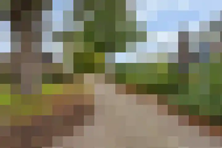Roemer Visscherlaan 82 Zeist thumbnail 41