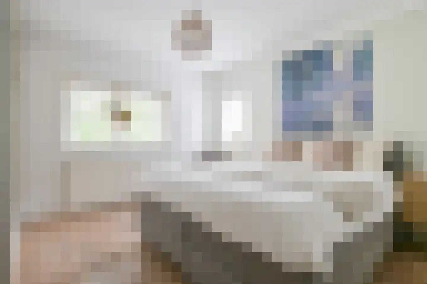 Roemer Visscherlaan 86 Zeist thumbnail 22