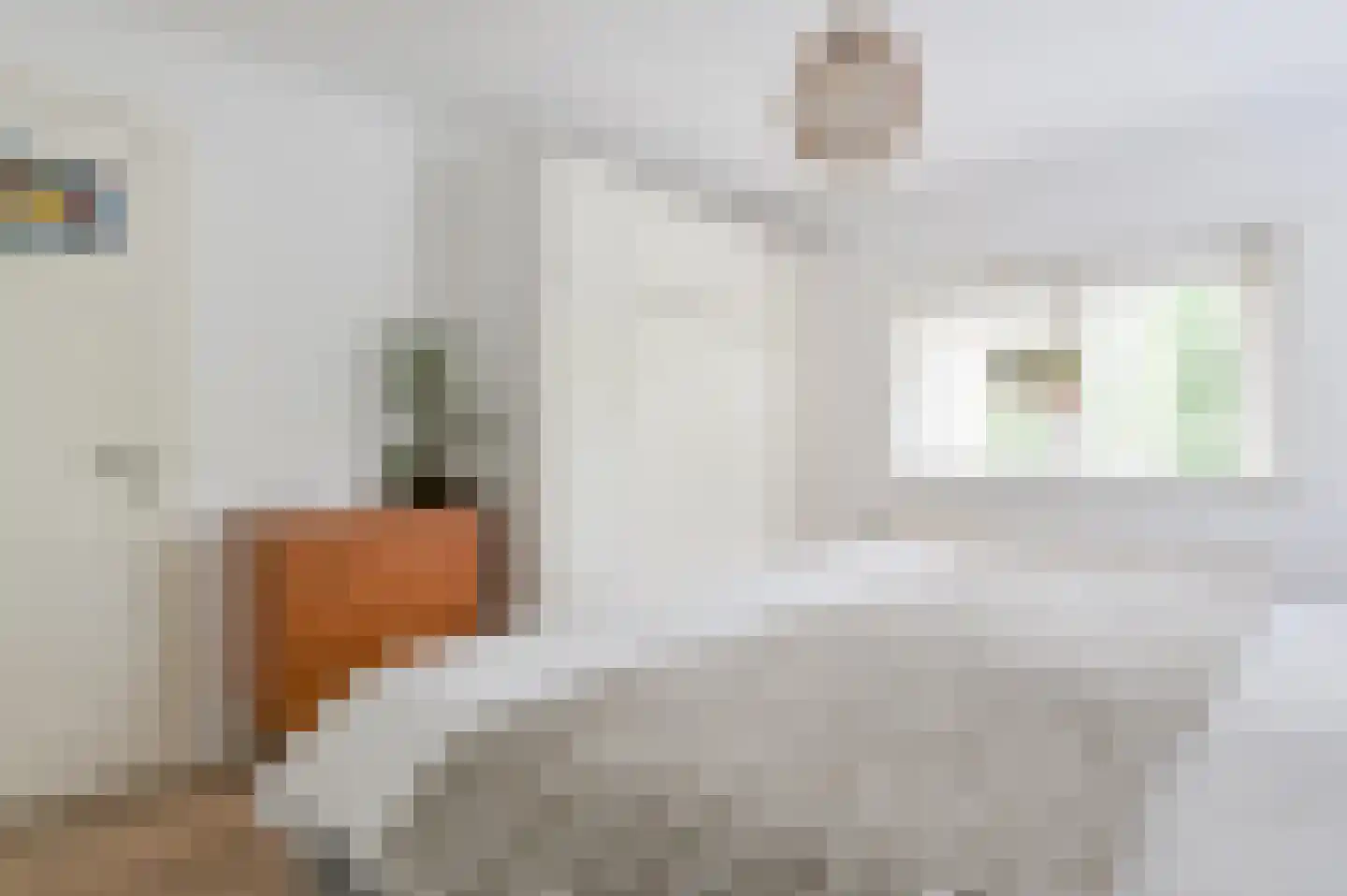 Roemer Visscherlaan 86 Zeist thumbnail 23