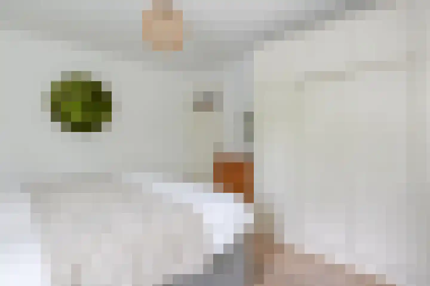 Roemer Visscherlaan 86 Zeist thumbnail 24