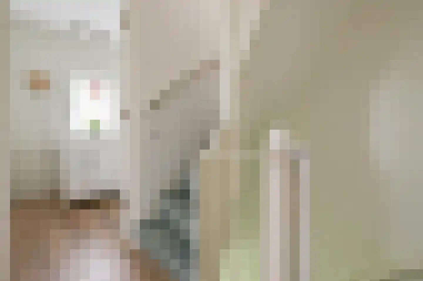 Roemer Visscherlaan 86 Zeist thumbnail 28