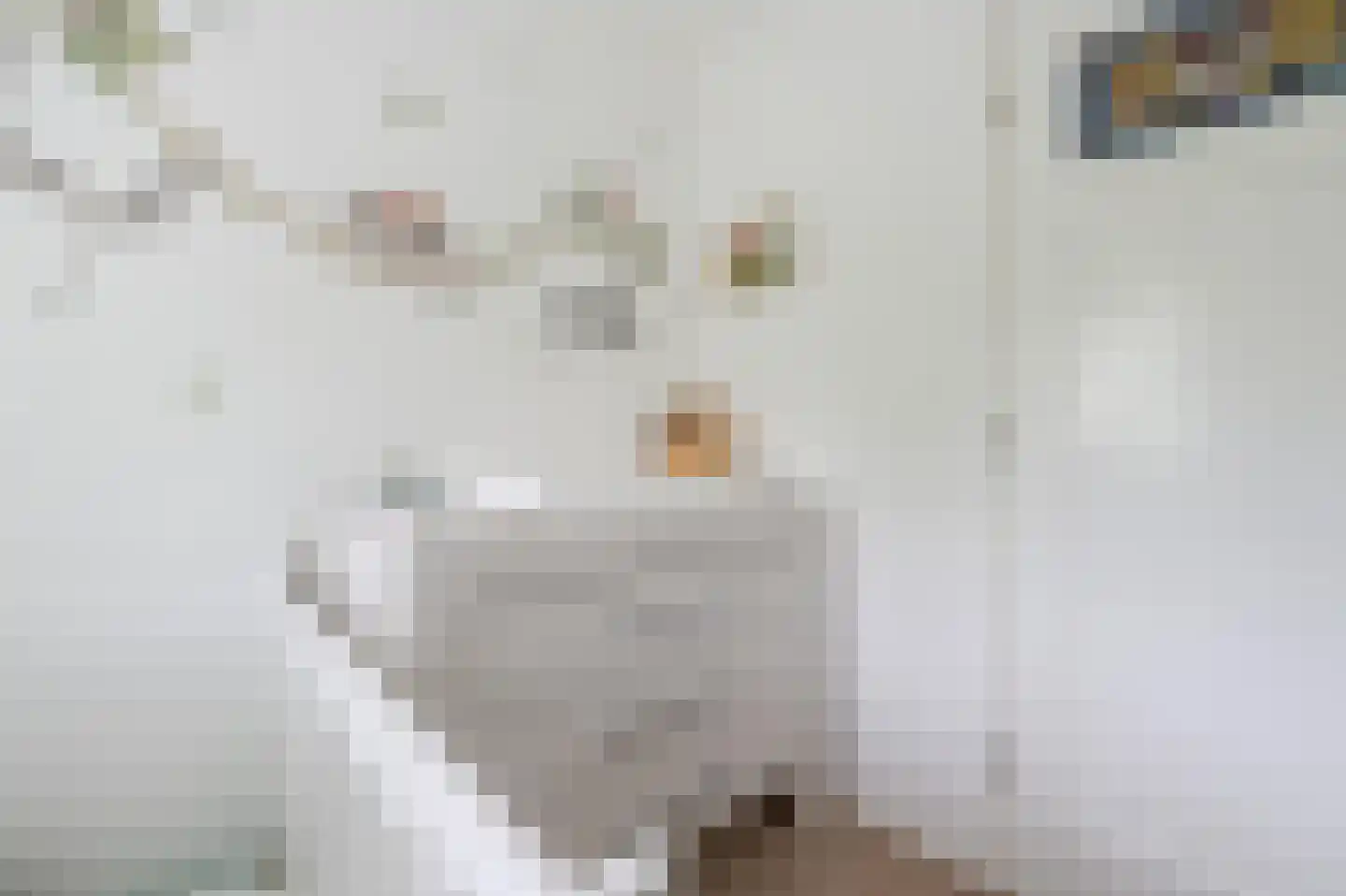 Roemer Visscherlaan 86 Zeist thumbnail 30