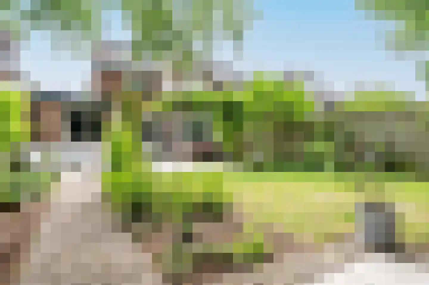 Roemer Visscherlaan 86 Zeist thumbnail 43