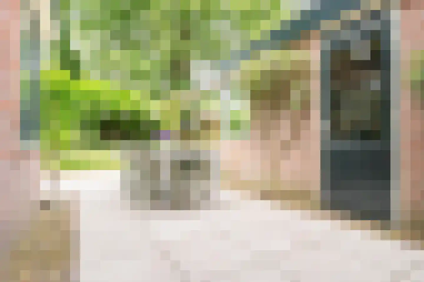 Roemer Visscherlaan 86 Zeist thumbnail 47