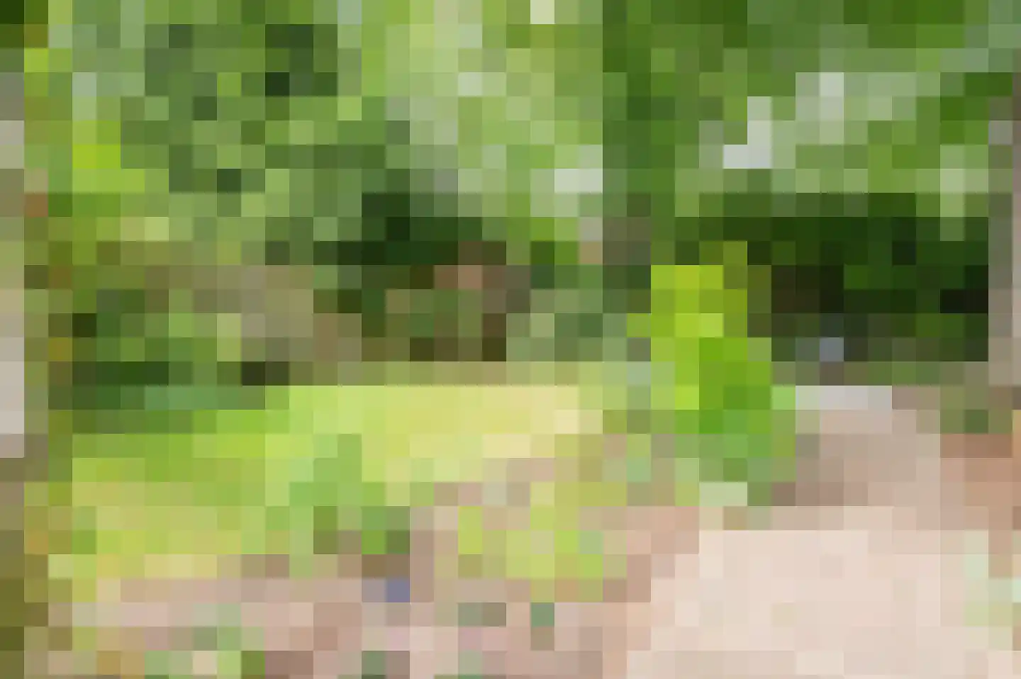 Roemer Visscherlaan 86 Zeist thumbnail 49