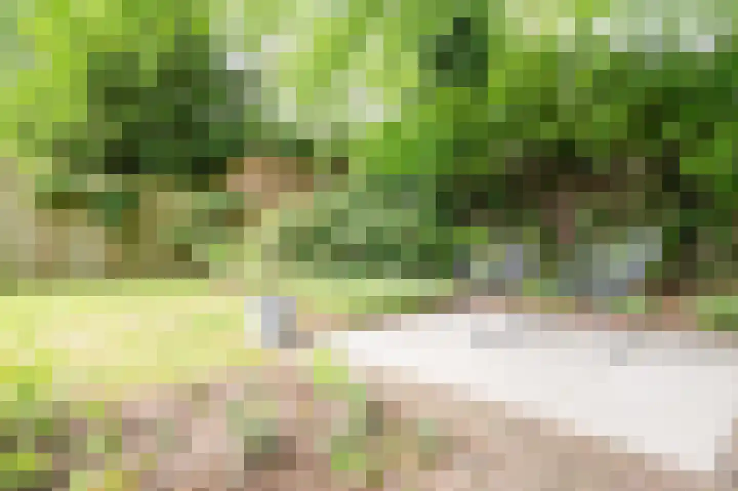Roemer Visscherlaan 86 Zeist thumbnail 50
