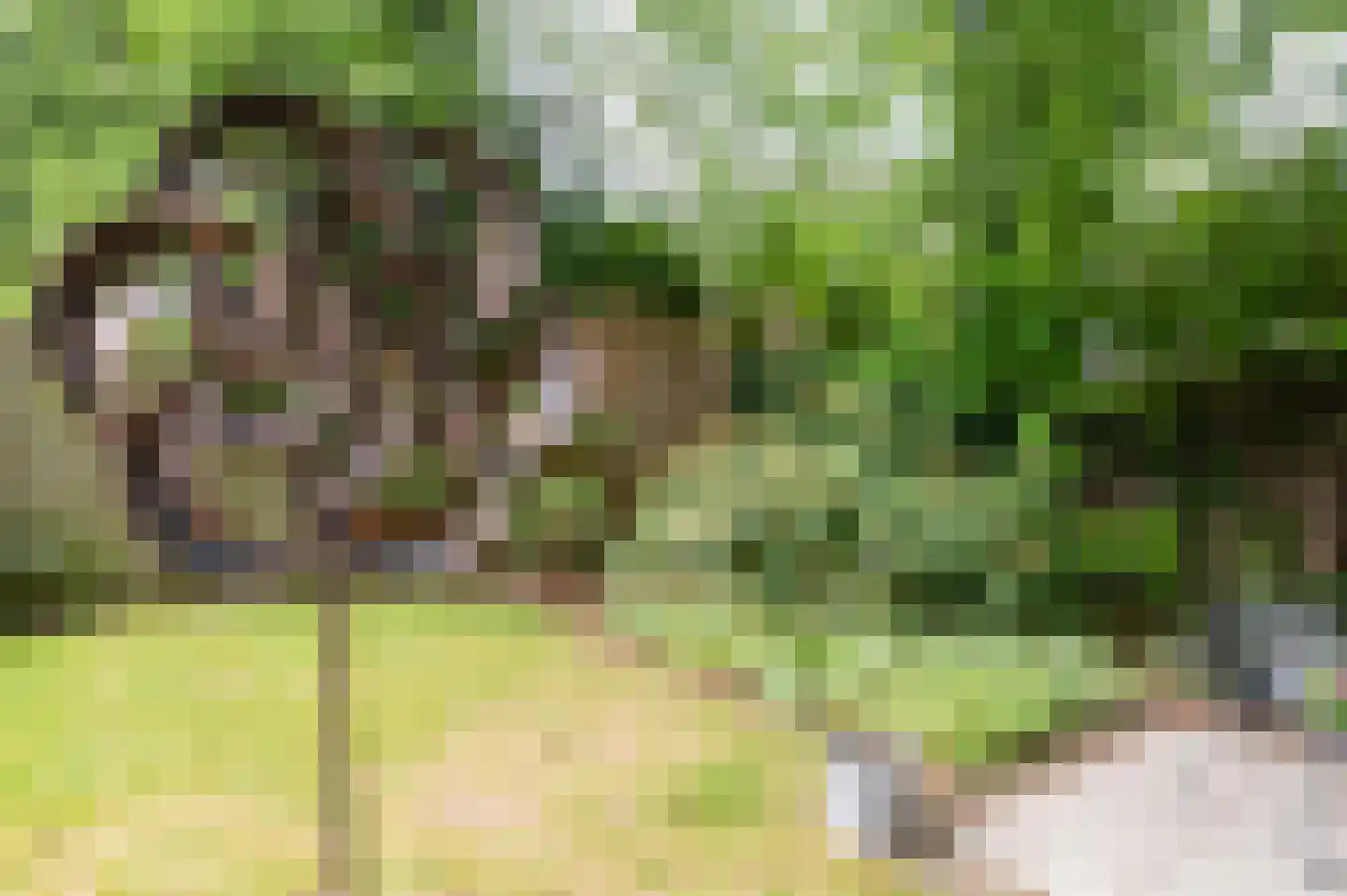 Roemer Visscherlaan 86 Zeist thumbnail 51