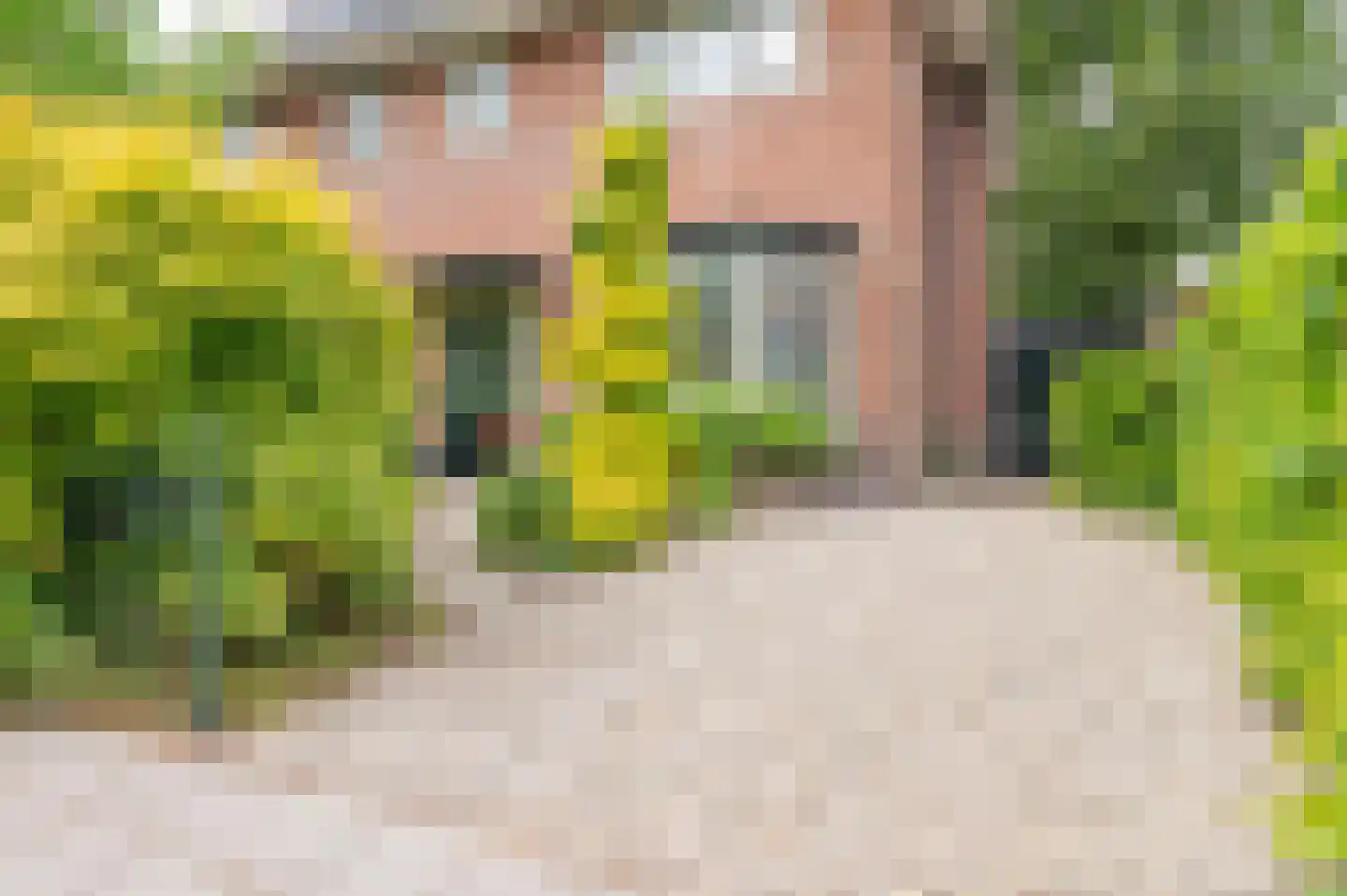 Roemer Visscherlaan 86 Zeist thumbnail 52