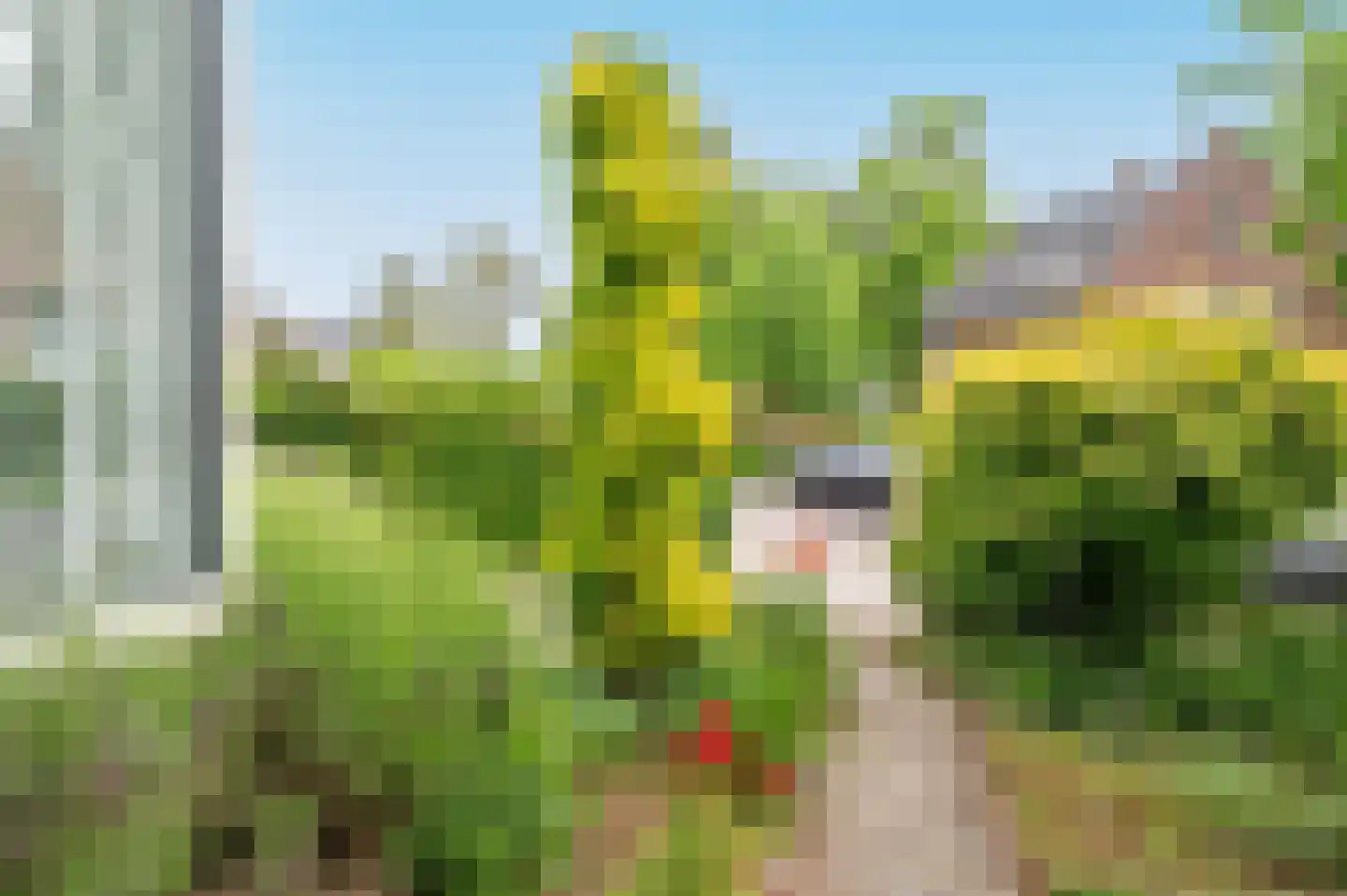 Roemer Visscherlaan 86 Zeist thumbnail 58